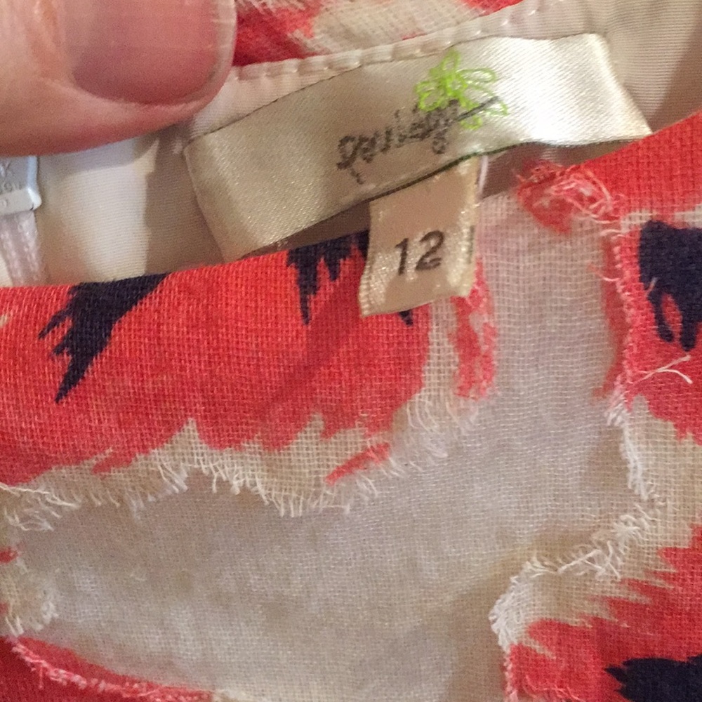 Anthropologie Porridge Floral appliqué Dress Sz 12 - Picture 3 of 9